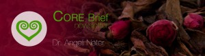 CORE Newsletter Winter 2014 SES Methode Angeli Neter Hannover